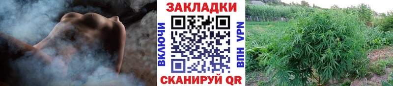 Виды наркотиков купить Курган КОКАИН Конопля