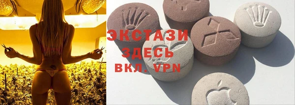 гидра Аркадак