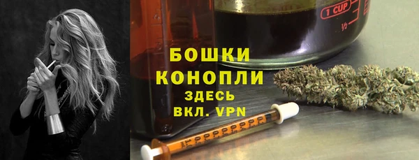 гидра Аркадак