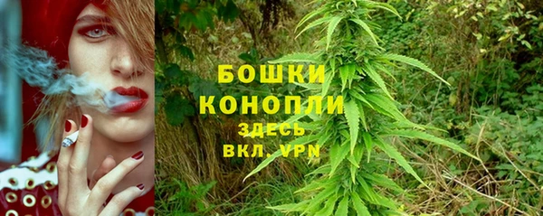 гидра Аркадак