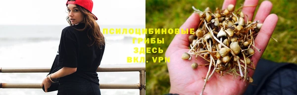 гашиш Алексин