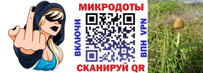 купить наркотики сайты Курган Псилоцибиновые грибы Magic Shrooms
